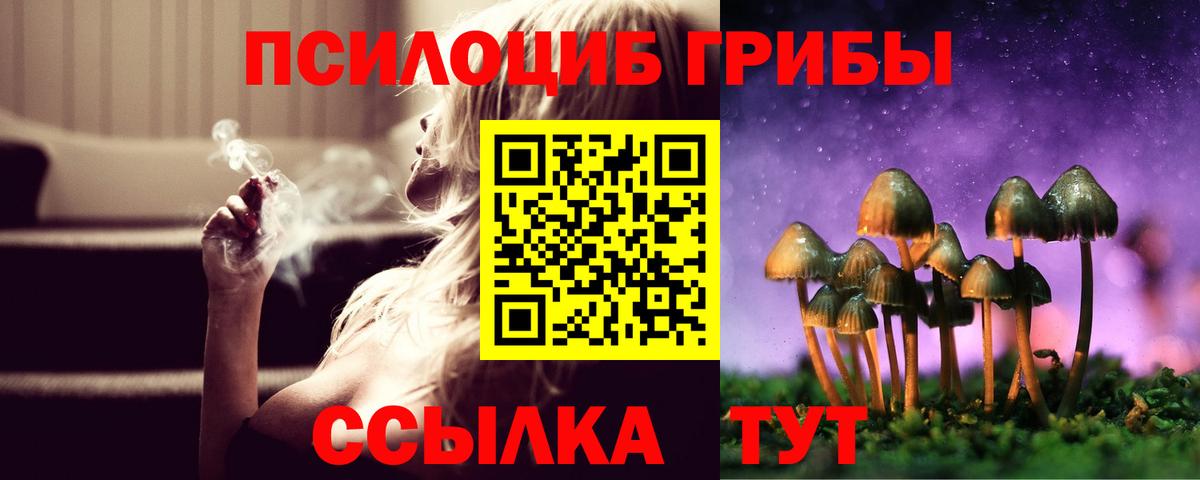 Галлюциногенные грибы мицелий  Вход с VPN  Ессентуки 
